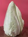 Cabbage: Pointed