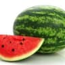 Melon: Water