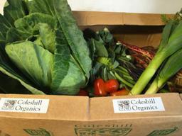 Image of Large Veg Box