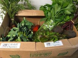 Image of Medium Veg Box