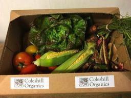 Image of Small Veg Box - No Potatoes