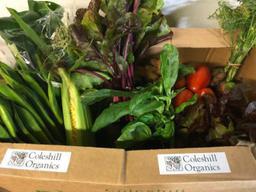 Image of Veg Lovers Box - No Potatoes